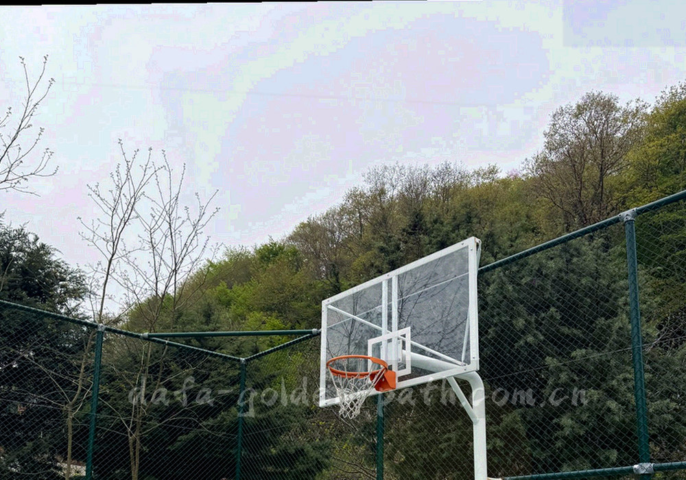 以抽象细线描出地域轮廓的深色纹理